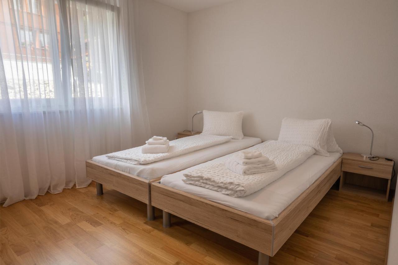 Moench Apartment - Aare Jungfrau Ag ヴィルダースヴィル エクステリア 写真