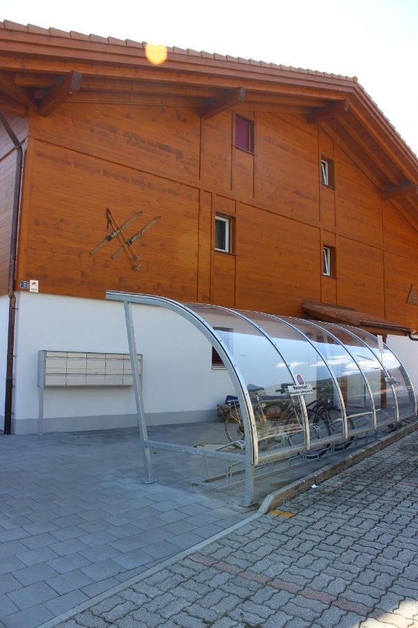 Moench Apartment - Aare Jungfrau Ag ヴィルダースヴィル エクステリア 写真